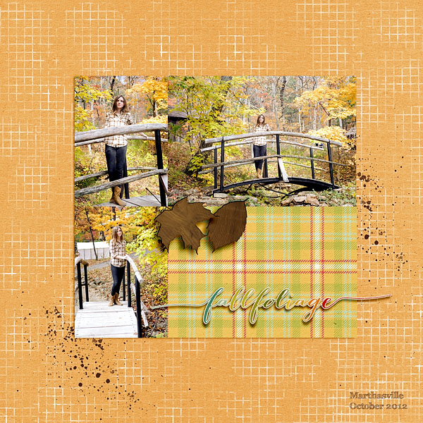 Fall Foliage