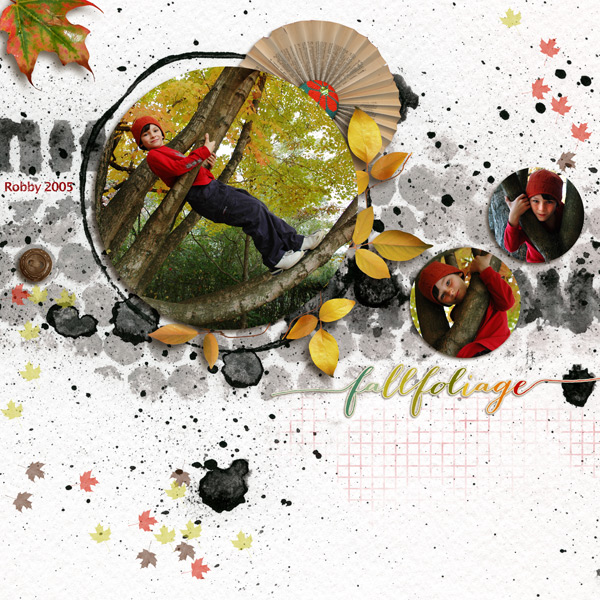 Fall Foliage