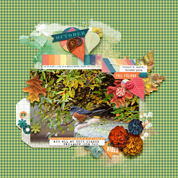 Fall Foliage