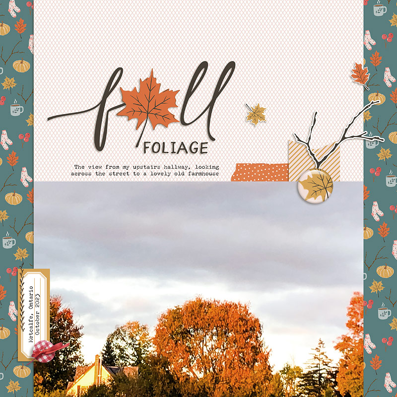 Fall Foliage