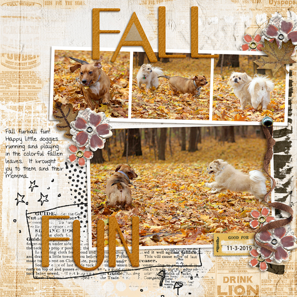 Fall Fun