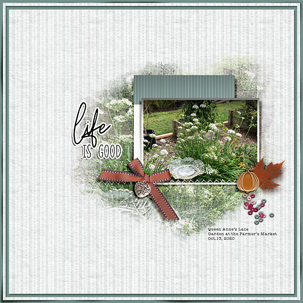 Fall Garden