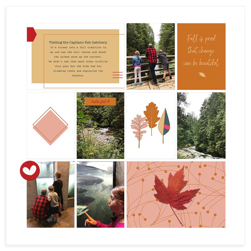Fall Hike