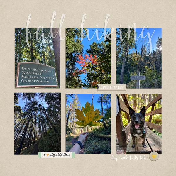 Fall-hiking