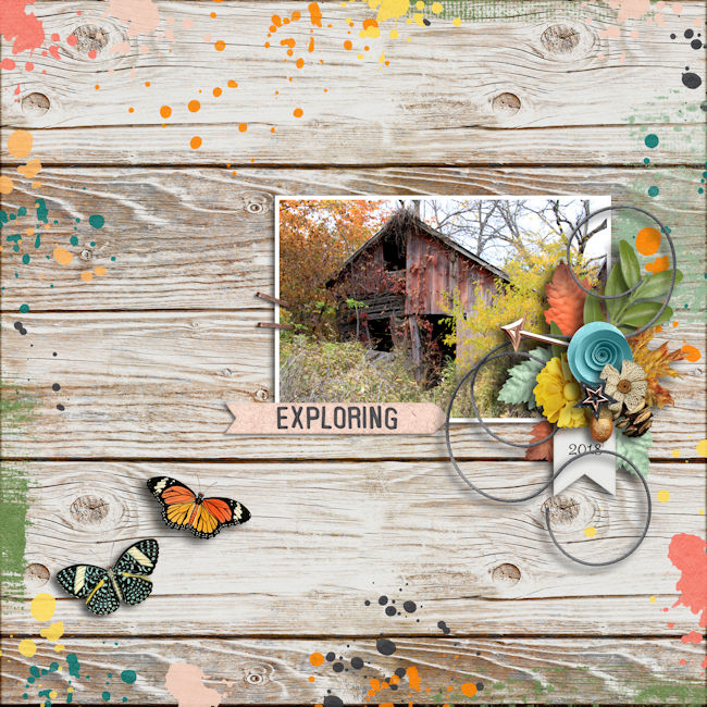 Fall in the Country