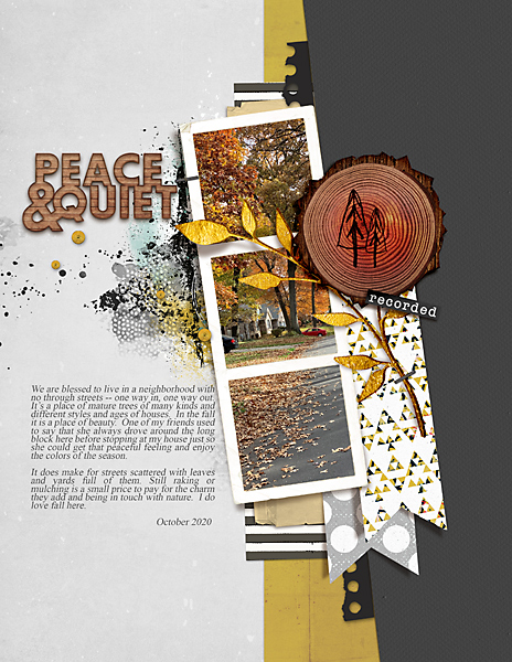 Fall-in-the-Neighborhood_flowersgal_web