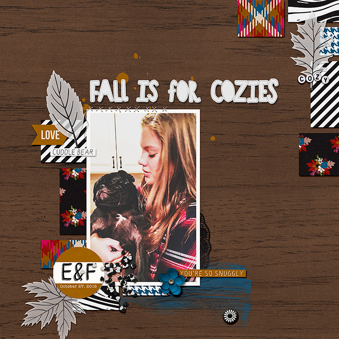 Fall is for Cozies