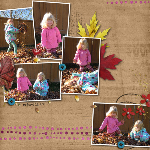 Fall Leaves 2011