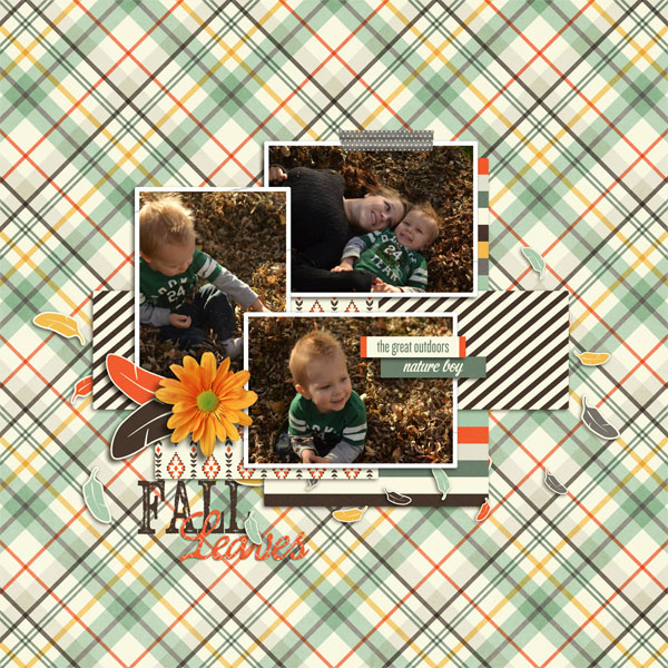 Fall Leaves