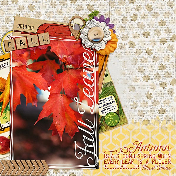 Fall Leaves