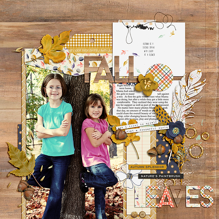Fall Leaves