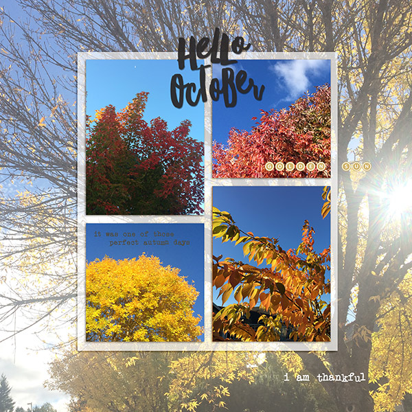 Fall Leaves