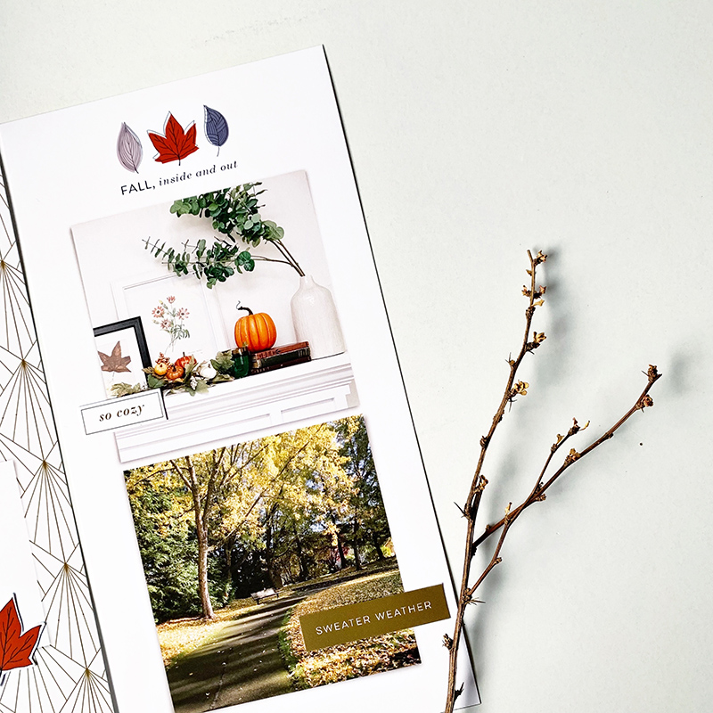 Fall Magic No.3-03
