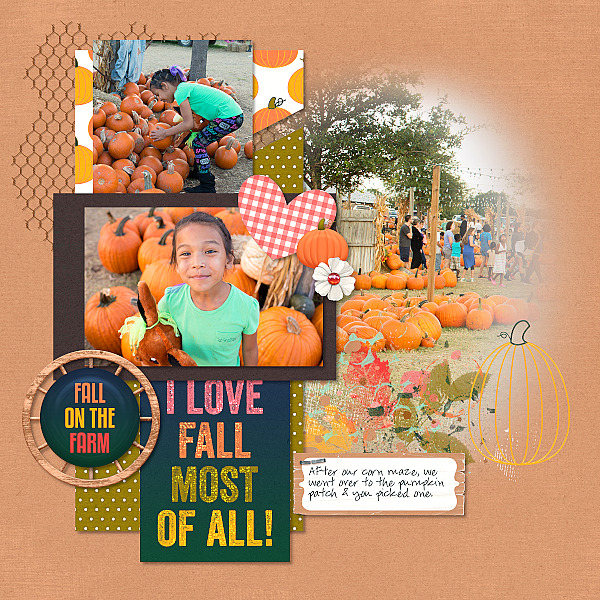 Fall On The Farm