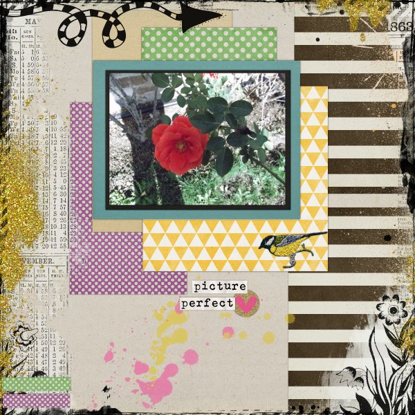 Fall Rose