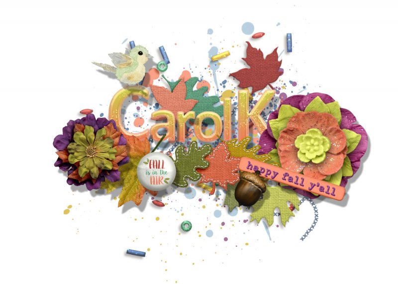 Fall Siggy-1