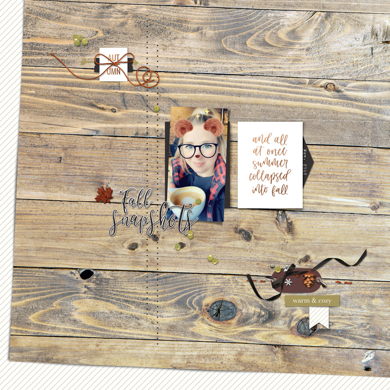 Fall Snapshots | November 2018