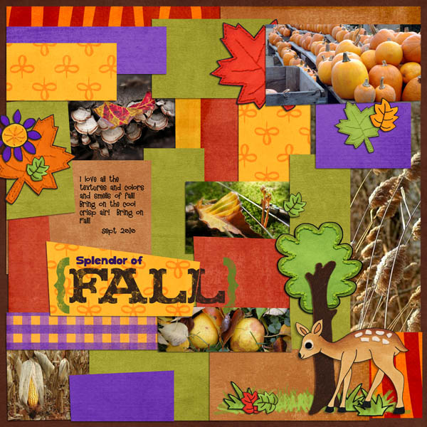 Fall Splendor