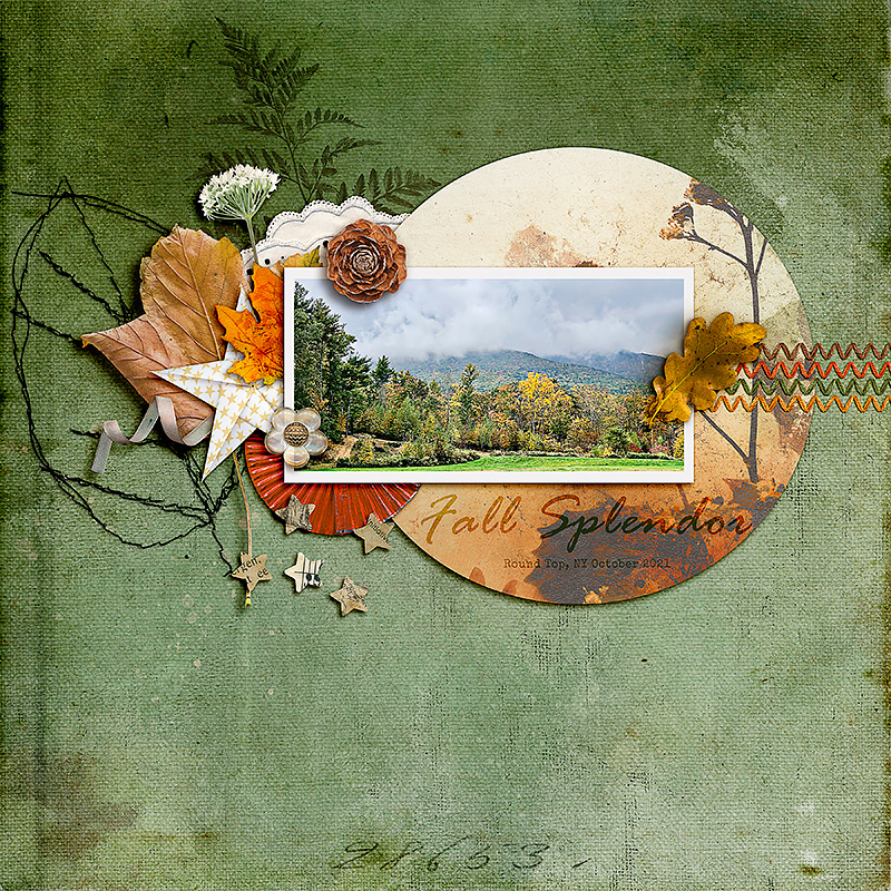 Fall Splendor