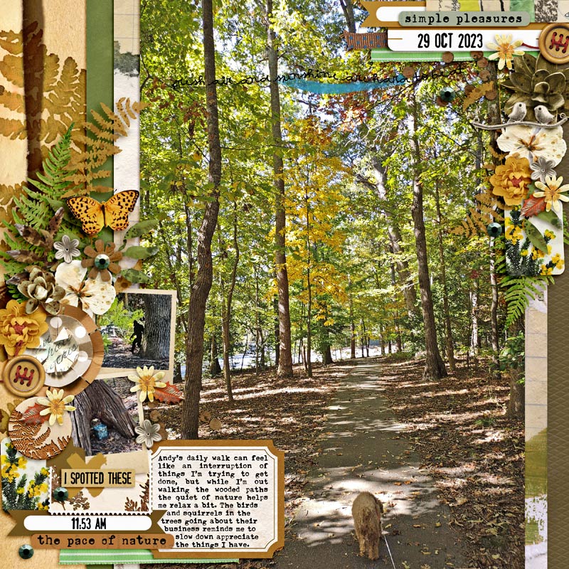 Fall Walk | MOC12 D01