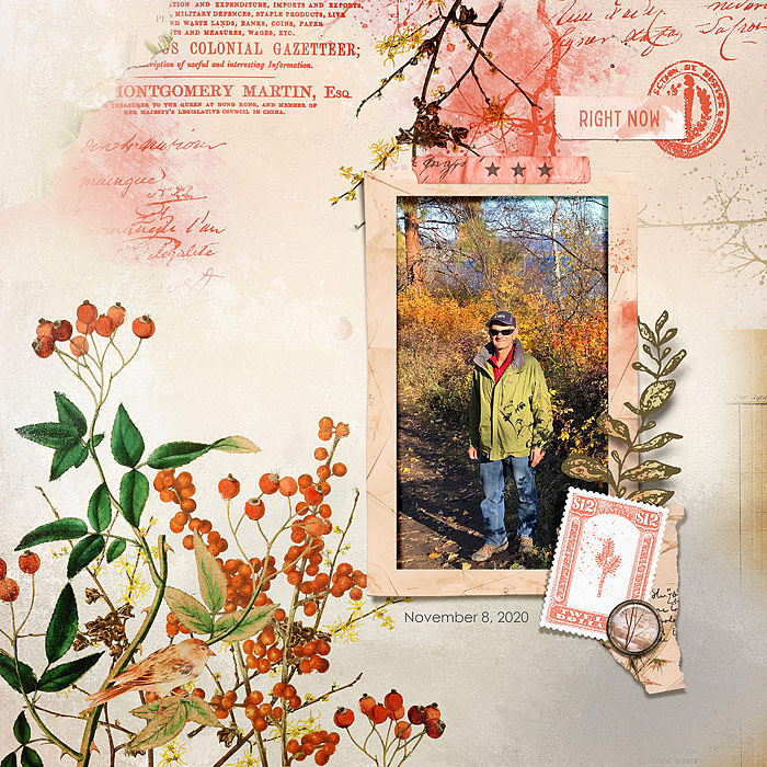 Fall Walk