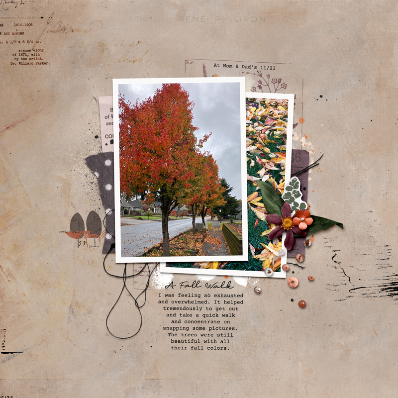 Fall Walk