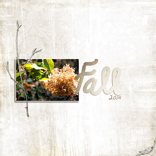 fall