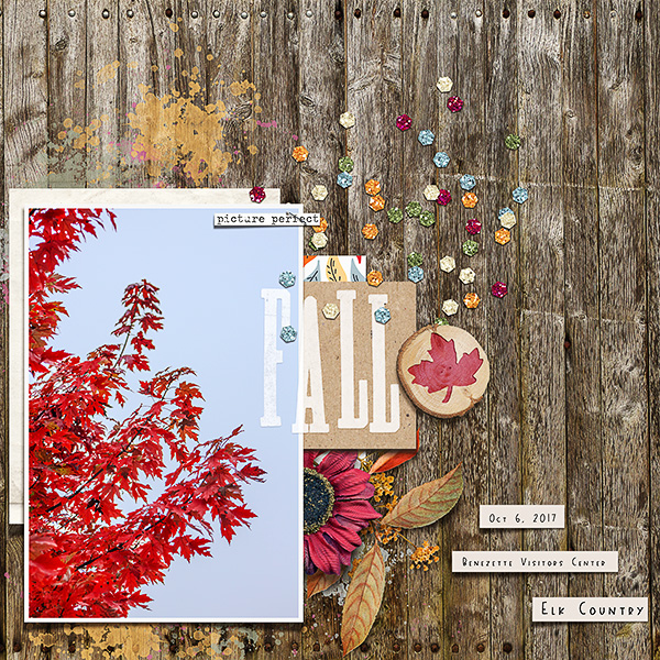 Fall