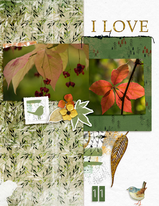 Fall