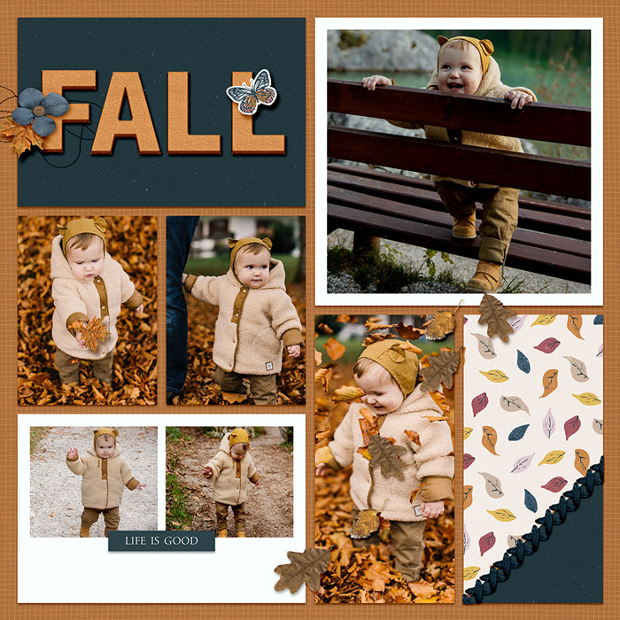 Fall