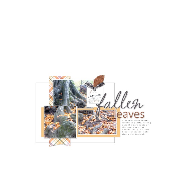 Fallen Leaves