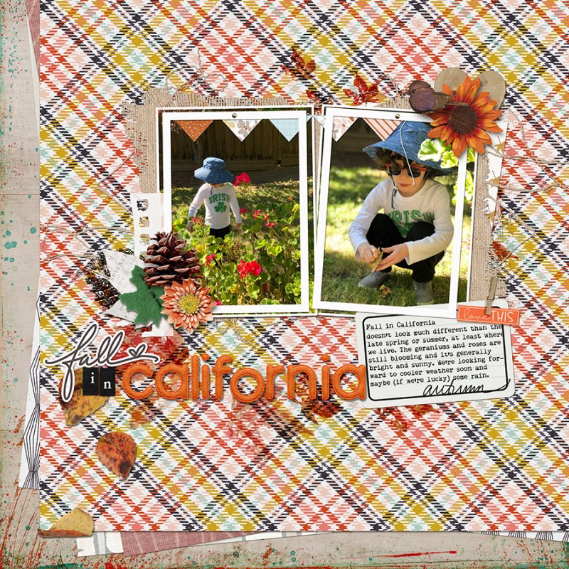 FallInCA112020SCsmall
