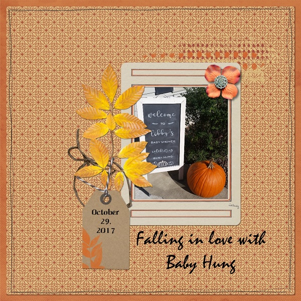 Falling In Love With Baby Hung