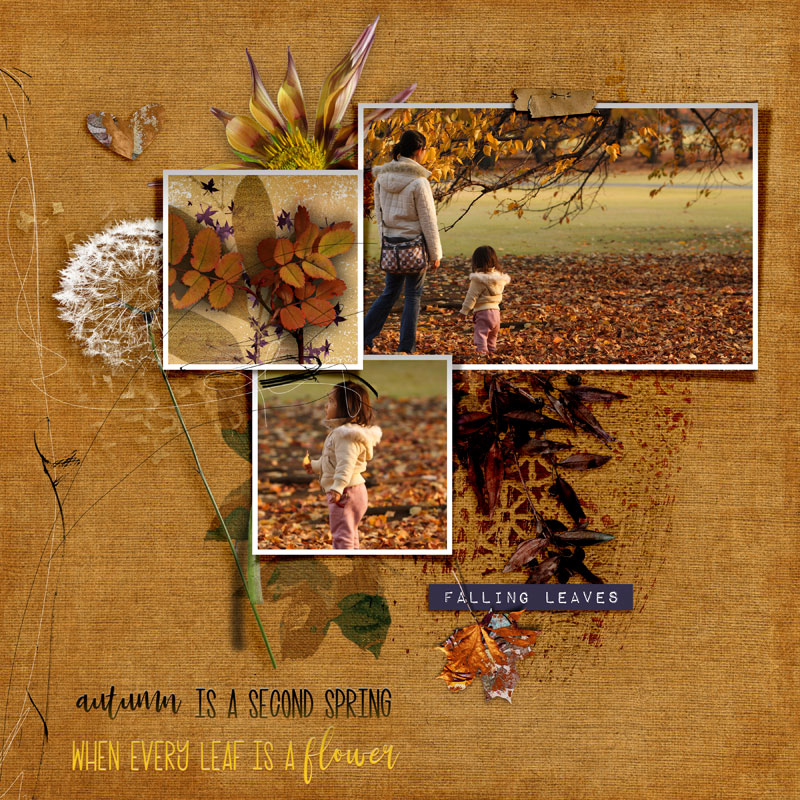 Falling leaves