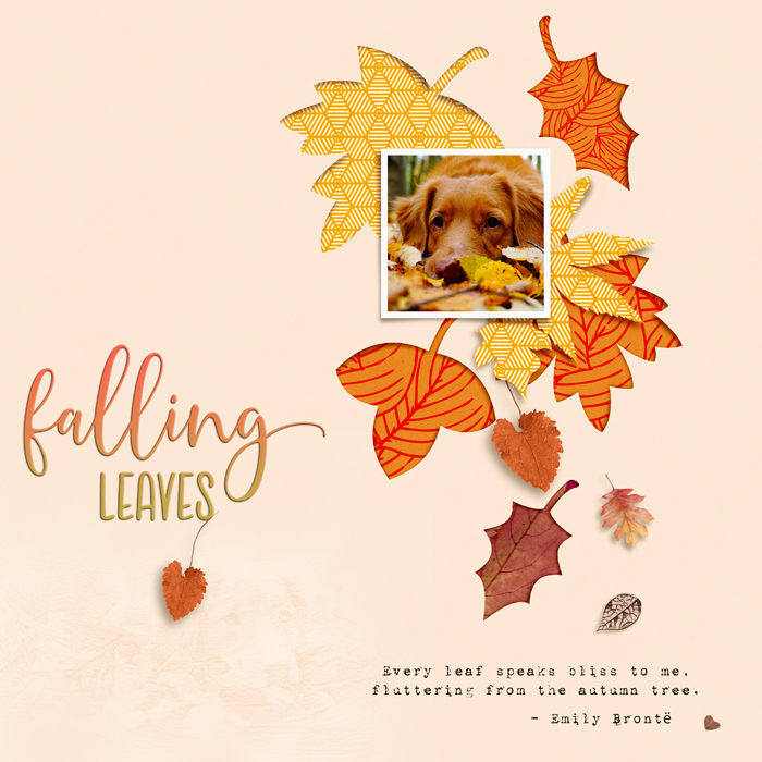 Falling Leaves