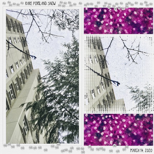 Falling Snow - Low Angle photo March 2020