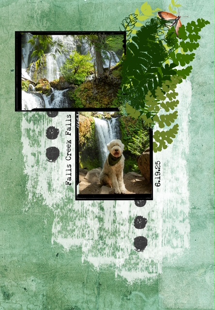 Falls Creek Falls Hike