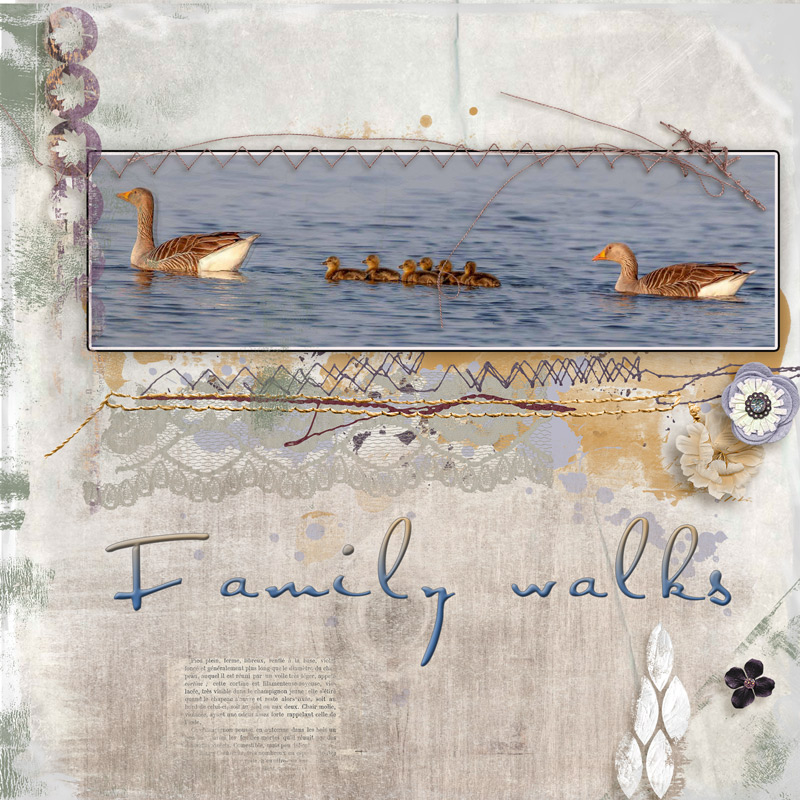Familly Walks