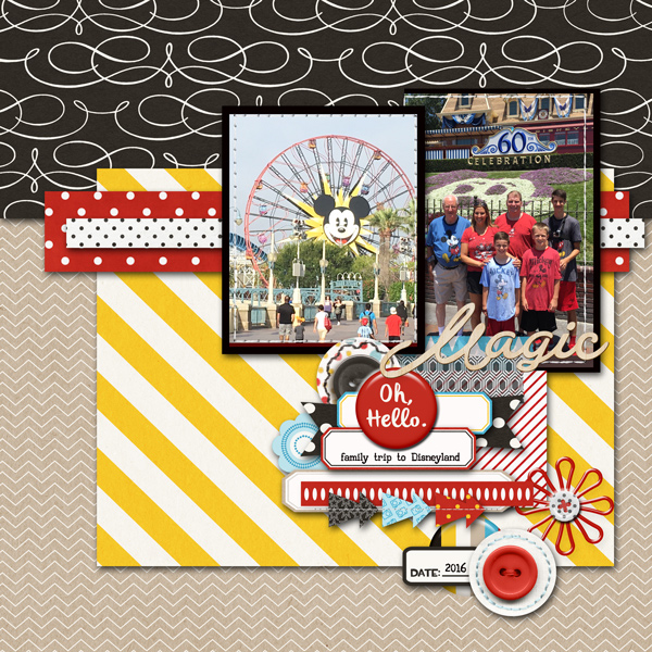 family disneyland trip