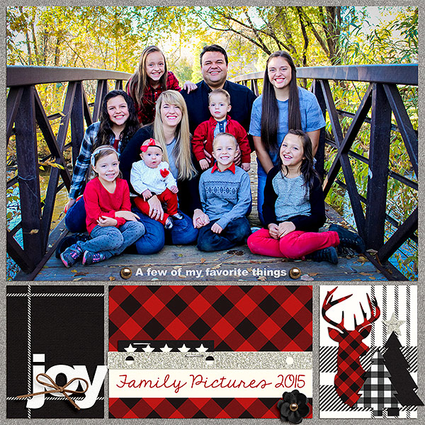 Family Pictures 2015
