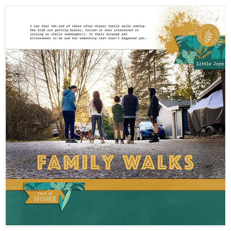 Family Walks