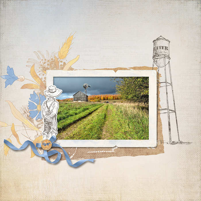 Farm Rows