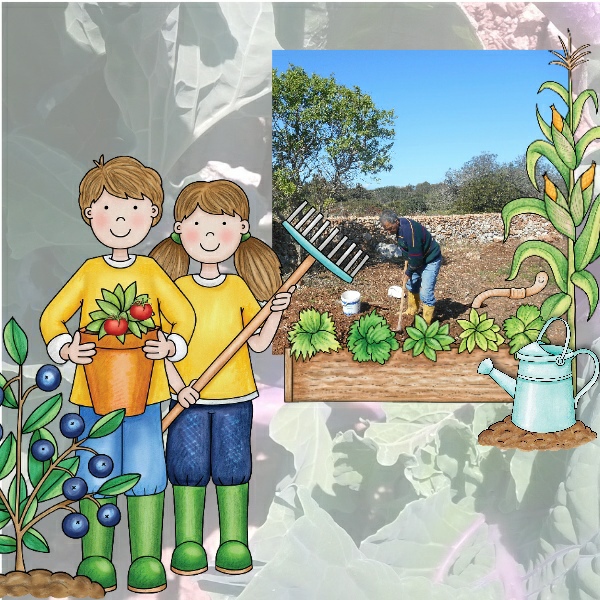 Farmers Garden ( Tony Field)