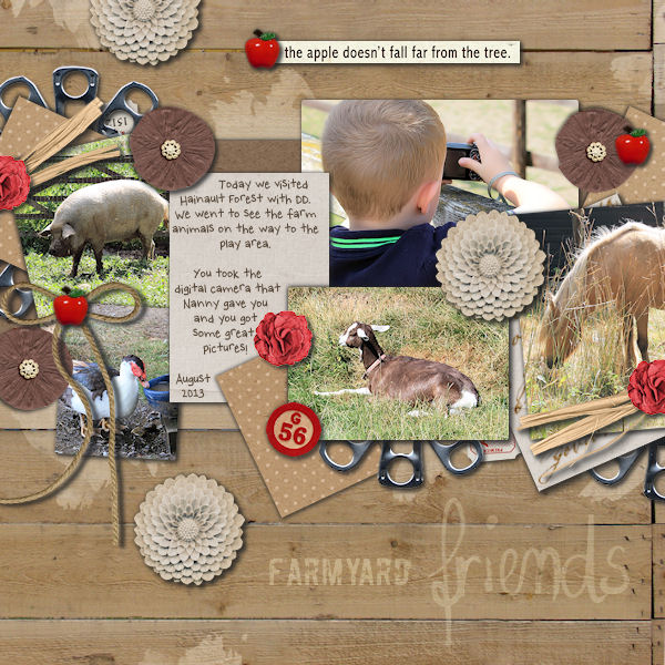 Farmyard Friends