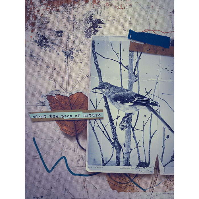 Farwen_RJefferiesCT_the pace of nature
