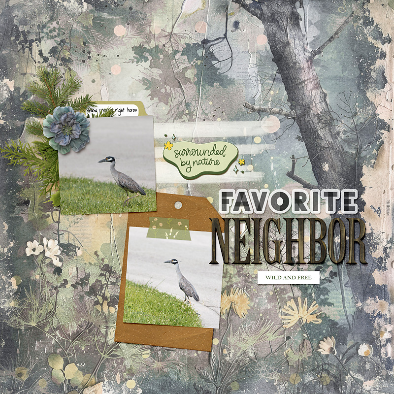 favorite neighbor