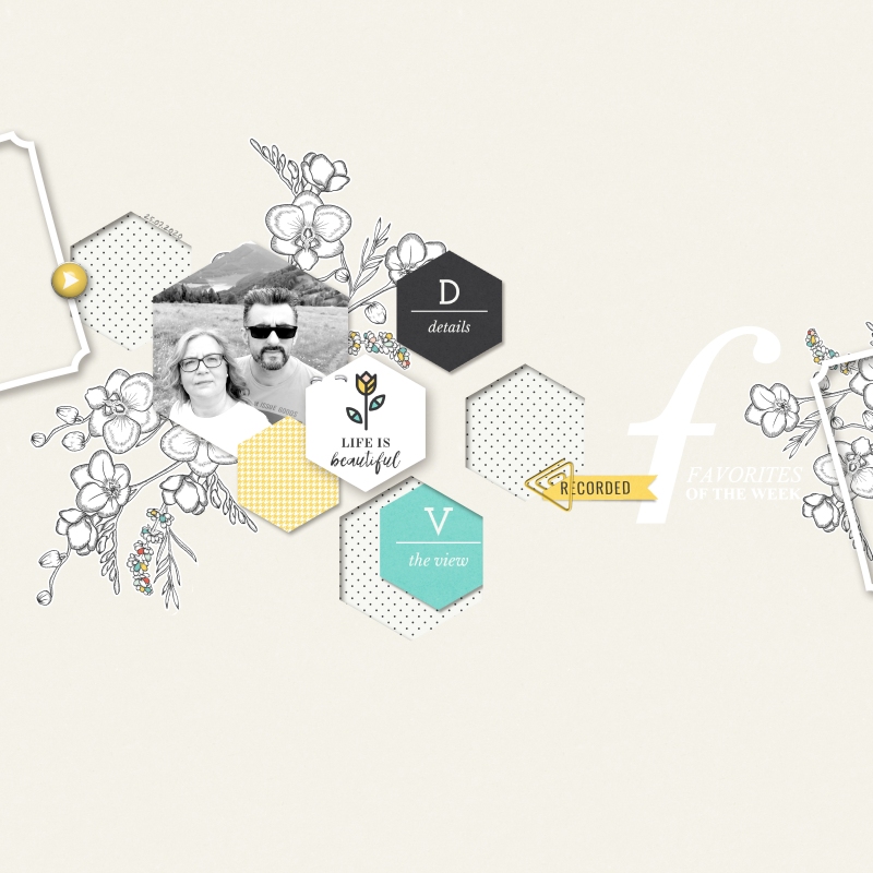 Favorites Of The Week