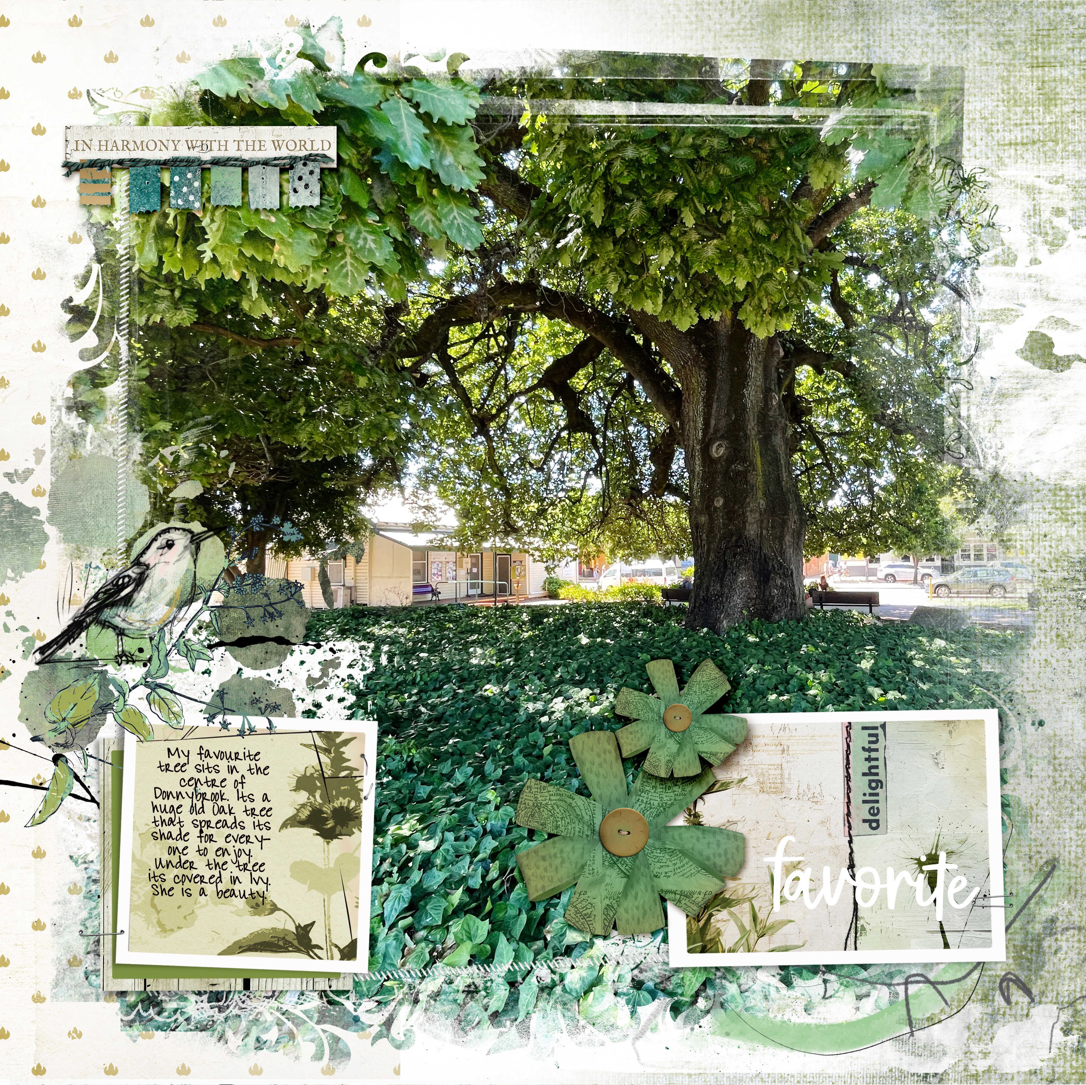 favourite tree .jpg