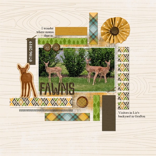 Fawns
