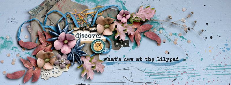 Fb-cover_9-17_M3_Discover